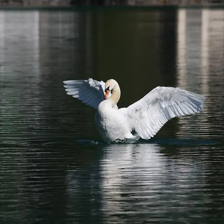 Apartament Mayr Villach