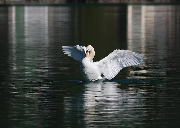 アパート Mayr フィラハ